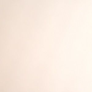 Meet your Posher, Lily